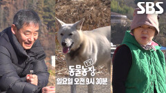 [1월 11일 예고] 꿀이 뚝뚝 떨어지는 세기의 사랑, 그 운명!