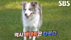 ‘닮이 매직’ 닮이, 긴장한 가을이 미소 되찾아준 마법