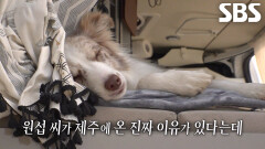 모든 걸 내려놓고 닮이와 제주로 오게 된 진짜 이유