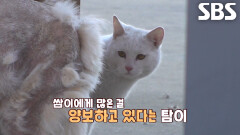 ‘식탐왕’ 탐이, 아픈 쌈이에 자신의 모든 것 내어주는 우정