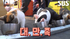 맥가이버 집사, 쑥쑥 자라버린 냥벤져스 위해 NEW 밥그릇 제작!