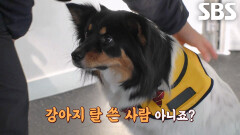 개치원에서 초등학교로 월반 시급한 한글 마스터, 쿤이