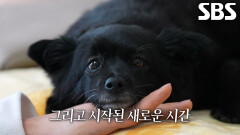 나오미, 단 10초로 보호자의 마음 뒤집어 놓은 운명같은 순간↗