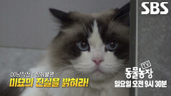 [2월 22일 예고] 파면 팔수록 미스터리만 나오는 정체불명의 털뭉치!