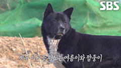 여름이×깜둥이, 하수관에서 아이들 키울 수 밖에 없던 이유↘