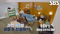 [3월 29일 예고] 이장원×배다해, 보이는 게 다가 아닌 기상천외한 동물 한 가득!