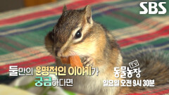 [4월 5일 예고] ‘숲의 요정’ 초록이, 아저씨와 함께한 운명적인 이야기!