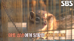 초록이×삼손, 앞으로가 기대되는 설렘 가득한 첫 만남