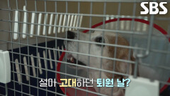 장애는 남았지만 건강해진 ‘그리’ 위한 의족 만들기 프로젝트↗