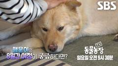 [5월 10일 예고] 행운이, 기적 중에 기적이 일어난 8일간의 여정