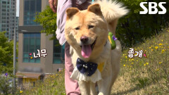 행운이, 기적 끝에 다시 찾은 평온한 일상에 보이는 미소↗