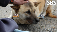보강이, 따뜻한 진심에 굳게 닫힌 마음 열게 된 사연
