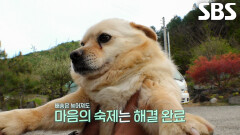 설이, 든든한 지원군 덕에 민원 해결되고 만끽하는 행복