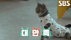 팝이, 전용 휠 슈트 입고 거침없이 코너링하며 폭풍 질주 본능!