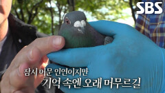 구구, 열심히 회복 집중한 끝에 자유의 몸으로 새로운 도약 시작!