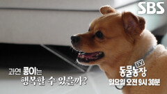 [5월 24일 예고] 콩이, 할머니의 간절한 진심이 닿아 마지막 소원 이루어지는 순간↗