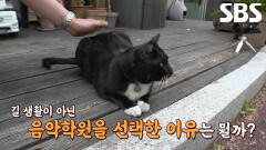 오월이, 안정감 주는 선율에 혼자만의 완벽한 안식처 된 음악 학원