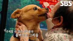 그토록 기다렸던 할머니와의 만남에 어쩔 줄 모르는 ‘콩이’