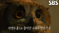 둘째 수리부엉이, 새로운 세상 향한 마지막 도약으로 마침내 산 입구 도착↗