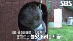 연탄이의 탈출 막기 위해 흥미로운 ‘마당 놀이터’ 선물↗
