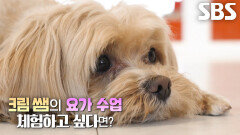 [6월 28일 예고] ‘코어 마스터’ 크림이, 요가 학원 특별 지도하며 남다른 실력 발휘↗