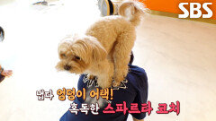 ‘부원장’ 크림이, 요가 1대1 밀착 코치하며 완벽한 핸즈온 스킬