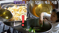 전국 6대 김밥 달인, 촉촉한 밥알 위해 직접 만든 ‘채소 기름’