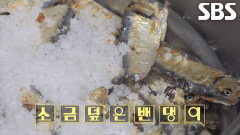 밴댕이×생강×다시마×멸치 넣고 끓인 ‘잔치국수 달인’의 특별 육수↗