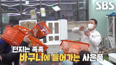 일정한 리듬으로 바구니에 넣는 ‘사은품 날리기 달인’의 이벤트 스킬