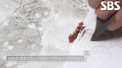 혹한기 원시 캠핑 달인, 야생동물 퇴치 위한 수호탄 만드는 방법