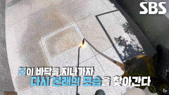 마모된 바닥을 불 이용하여 다시 거칠게 만드는 버너 구이 달인