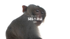 [티저] 멍키시티 in SBS 스페셜, Coming soon!