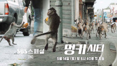 [3차 티저] 도시를 점령한 ‘원숭이’들의 도시 정글 생존 이야기!