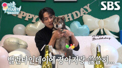 ‘주말극 왕자’ 고주원, 반려견 코코 위해 준비한 생일파티 (ft. 커플 티셔츠)