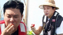 이상민·탁재훈, 인레호수 토마토 맛에 감탄 폭발 “정말 맛있어”