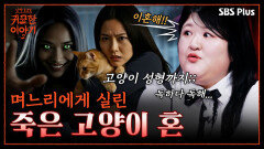 ＂며느리 때문에 못 살겠어요＂ | 신빨토크쇼 귀묘한 이야기2 EP.03 | SBS PLUS