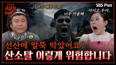 내 아들의 방황이 산소탈 때문이라니 | 신빨토크쇼 귀묘한 이야기2 EP.13 | SBS PLUS