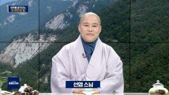 하루를 움직이는 차 한잔의 힘