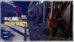 탄소 중립, 축산의 재발견