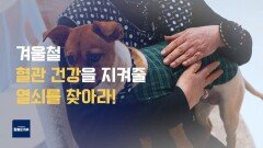 겨울철 혈관 건강을 지켜줄 열쇠를 찾아라!