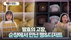 발효의 고장, 순창에서 만난 빵&디저트