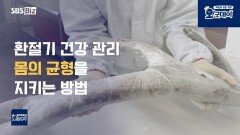 큰 일교차 주의 환절기 건강 지키는 방법