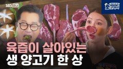 육즙이 살아있는 생 양고기 한 상