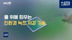 녹조 문제 해결 위한 친환경 수질 정화 기술