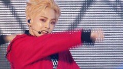 오늘도 내일도 눈부신 그들! EXO \