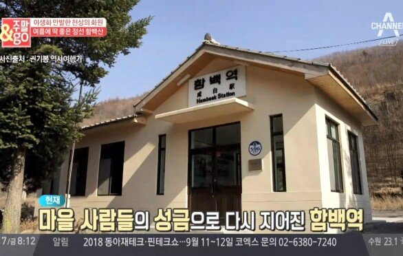 여름에 딱 좋은 트래킹 코스! 정선 \