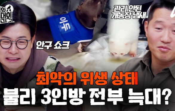 [예고] 하다못해 물에 입질까지? 공격성은 기본 집안까지 탈출하는 불리 3마리 모두 늑대!?