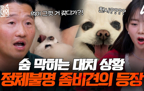 [예고] 손발을 내어주지 마라!? 물리기 전에 피해야 한다! 천사의 얼굴을 가진 좀비(?) 늑대