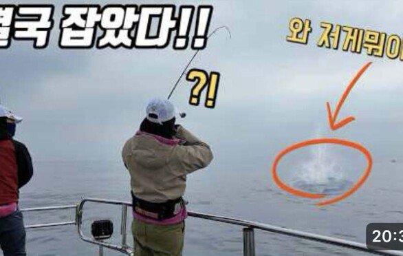 발 앞에서 거대한 괴물이 잡힙니다!! 진짜 바다가 무섭네요!ㄷㄷㄷ