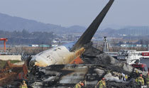 More than 170 dead at Muan plane crash